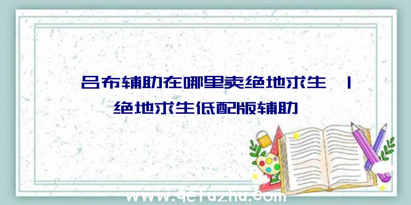 「吕布辅助在哪里卖绝地求生」|绝地求生低配版辅助